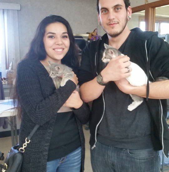 A man and woman holding two kittens in a room.