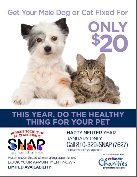 A poster of this year do the healthy thing for your pet