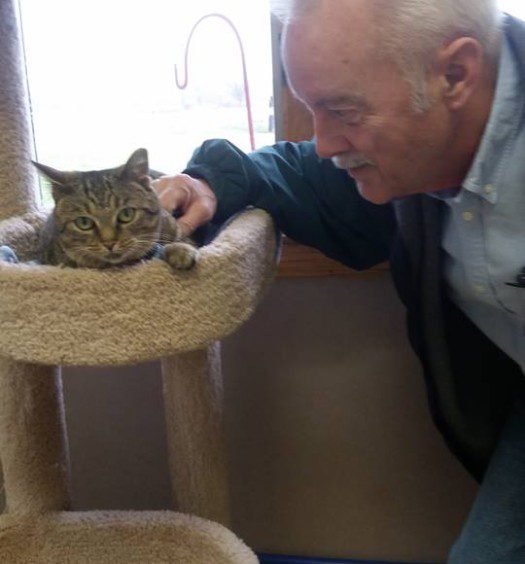 An older man petting a cat on a cat tower.