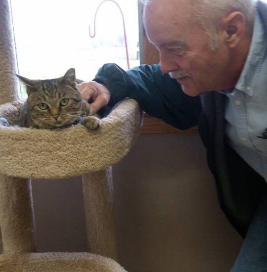An older man petting a cat on a cat tower.