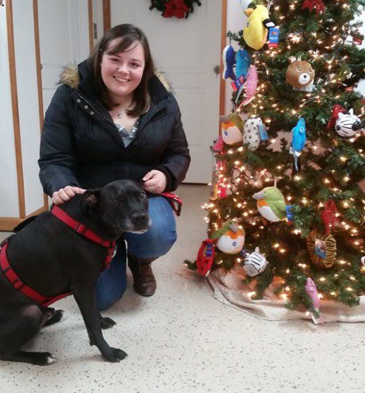 A woman kneeling in front of a christmas tree with a black dog.