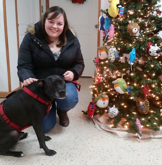 A woman kneeling in front of a christmas tree with a black dog.