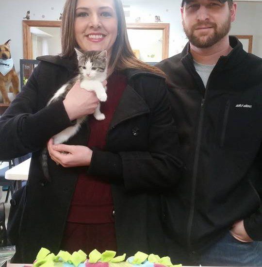 A man and woman holding a kitten in front of a table.