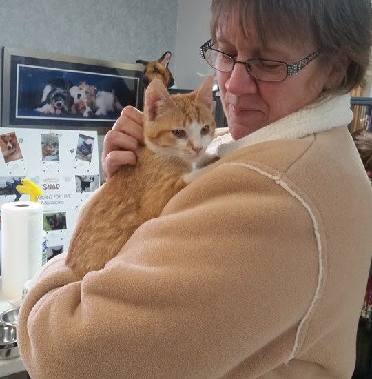A woman is holding an orange cat in her arms.