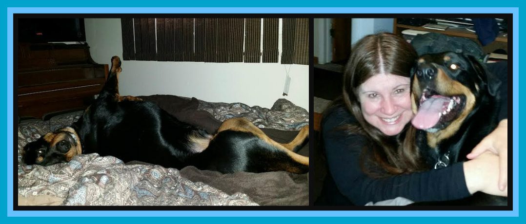Two pictures of a woman laying on a bed with a dog.