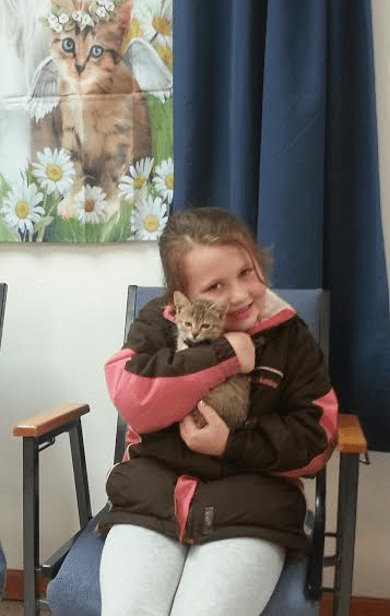 A small girl holding a cat and sitting on a chair