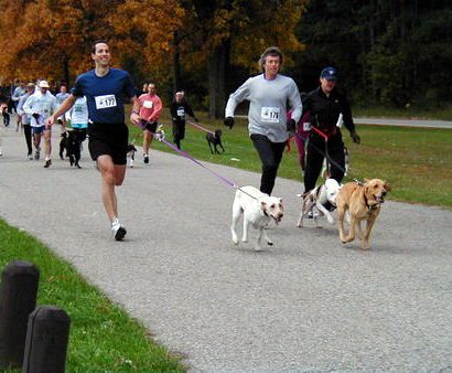 A lot of people running with their dogs on a road