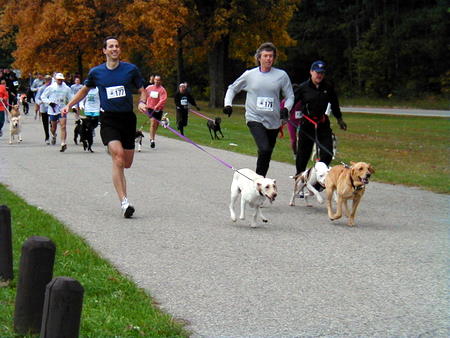 A lot of people running with their dogs on a road