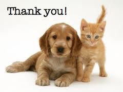 A thank you dog and cat poster