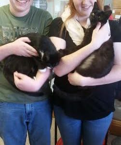 Double Kitty Adoption – Yay!