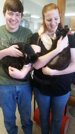 Two people holding cats together