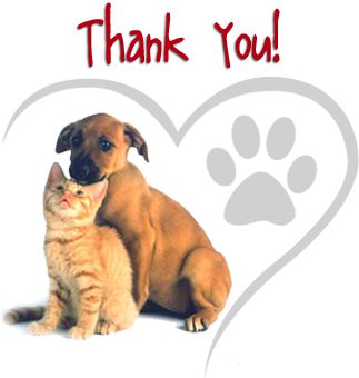 A thank you card with a dog and a cat