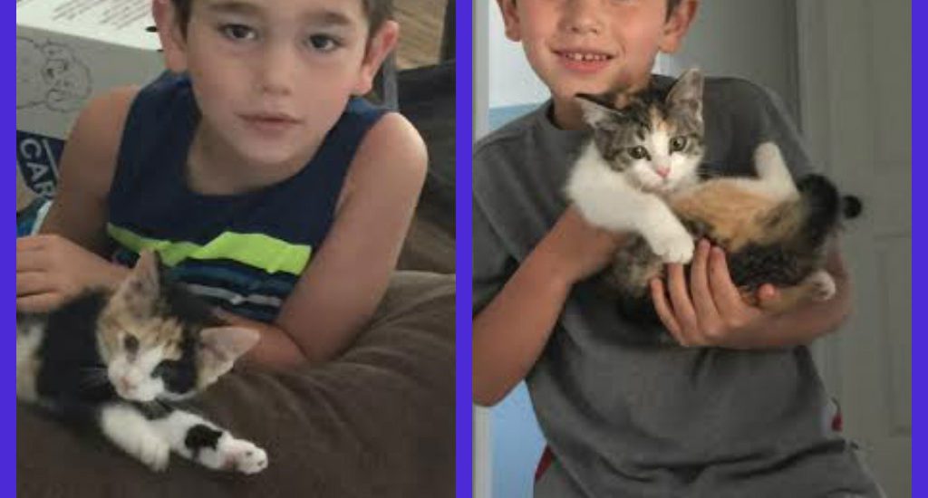Two pictures of a boy holding a kitten.