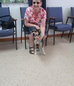 Sweet “Riley” Adopted!