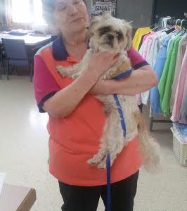 “Scamp” Adopted! :)