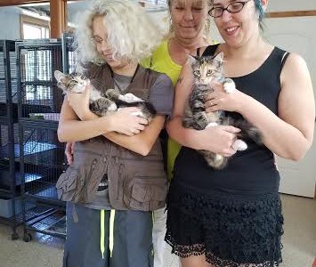 Brother & Sister Kitties Adopted!