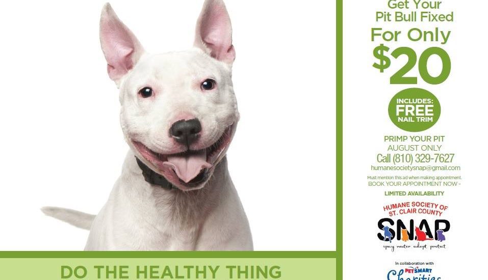 A dog poster with get your pit bull fixed written