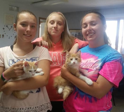 Three girls holding kittens in a room.