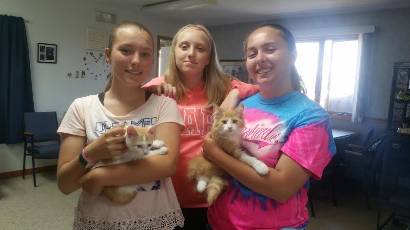 Three girls holding kittens in a room.