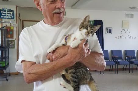 ‘Socks’ adopted!