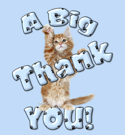 A thank you card with a cat blinking his eyes