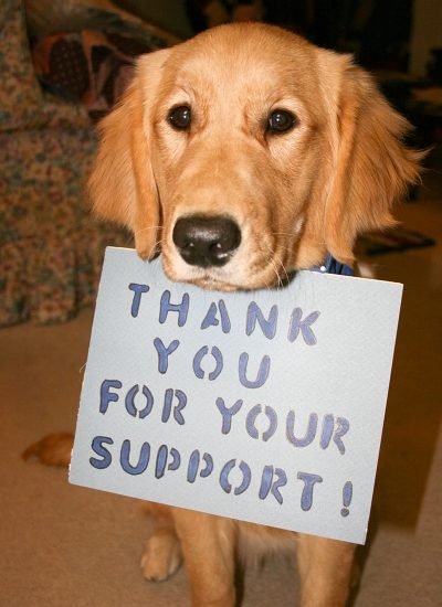 A dog holding a card thank you for your support