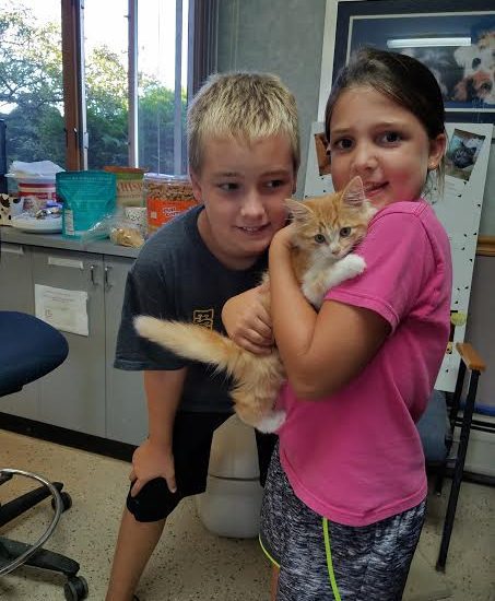 Two kids holding a cat in an office.