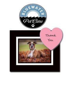 Bluewater pet care thank you card.