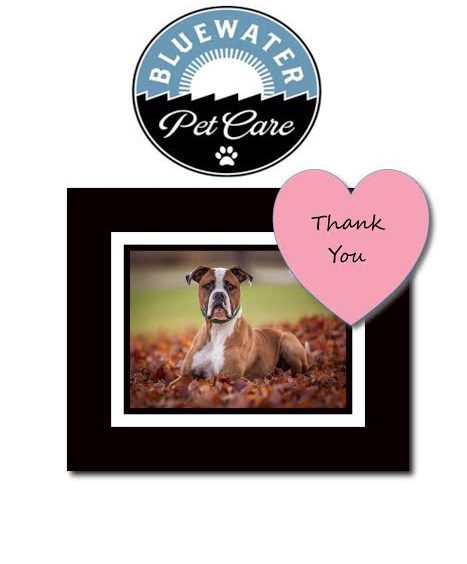 Bluewater pet care thank you card.