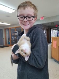 A young boy holding a kitten in his arms.