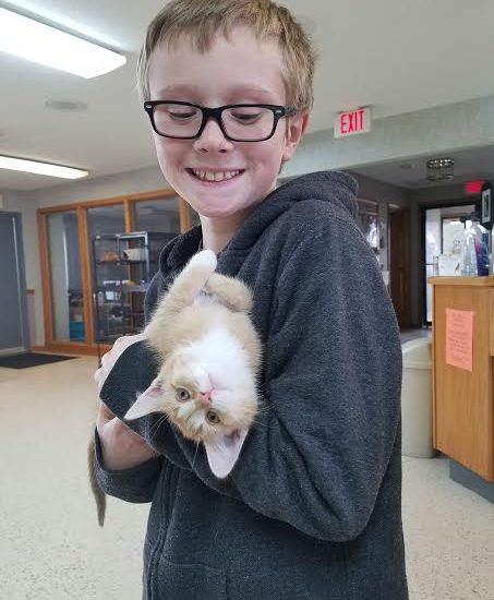 A young boy holding a kitten in his arms.