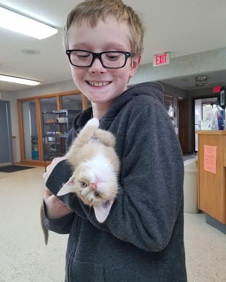 A young boy holding a kitten in his arms.