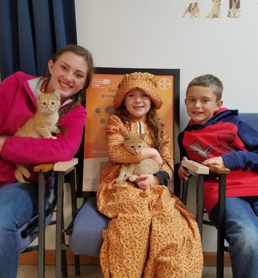 Three children and a cat sitting in a chair.
