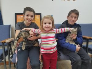 three kids sitting on chairs holding cats