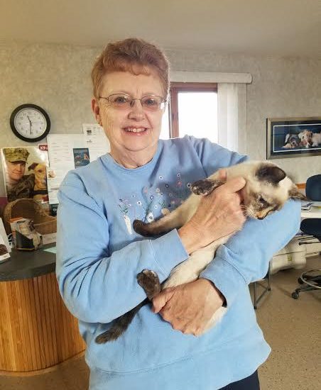 A woman holding a siamese cat in an office.