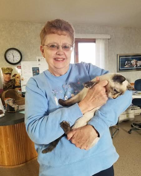 A woman holding a siamese cat in an office.