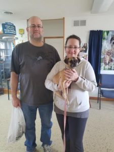 A man and woman standing in a room with a dog.