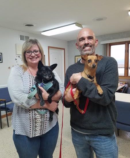 Solomon Found a home! - Humane Society of St. Clair County Spay Neuter ...