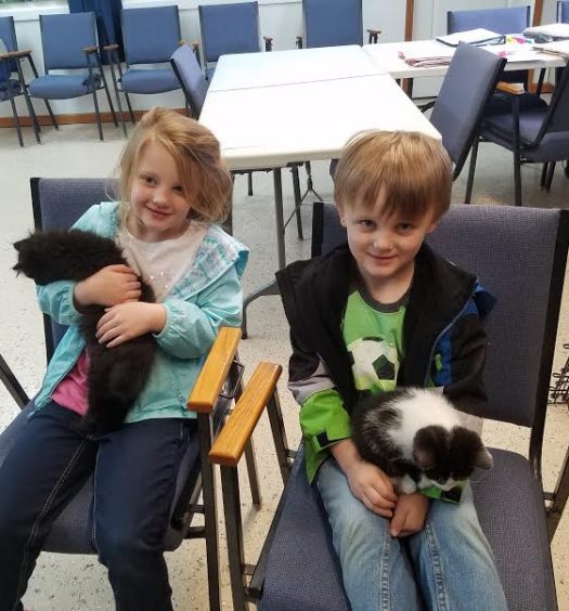 Two children sitting in chairs holding kittens.