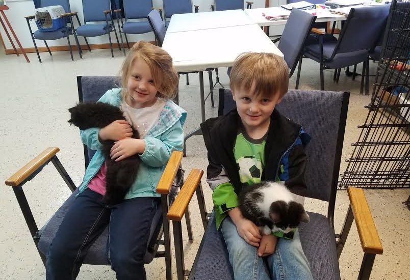 Two children sitting in chairs holding kittens.