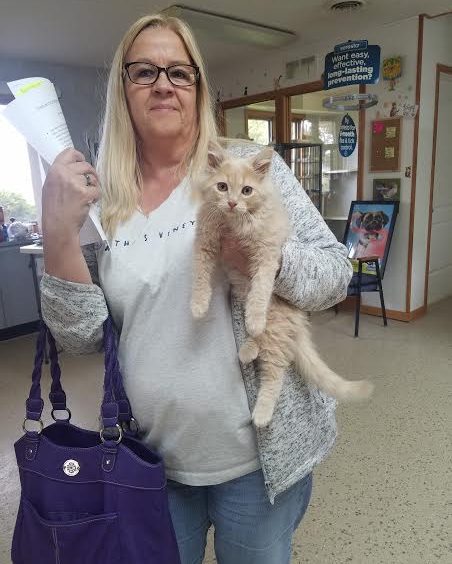 A woman holding a cat and a purse.