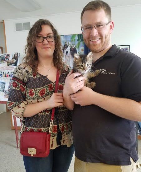 A man and woman holding a kitten in an office.