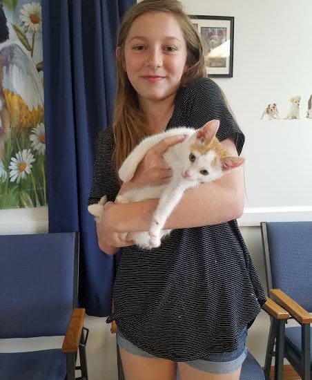 A young girl holding a white and orange cat.