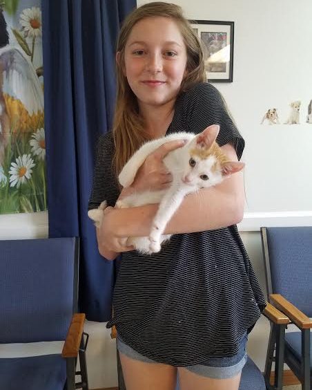 A young girl holding a white and orange cat.