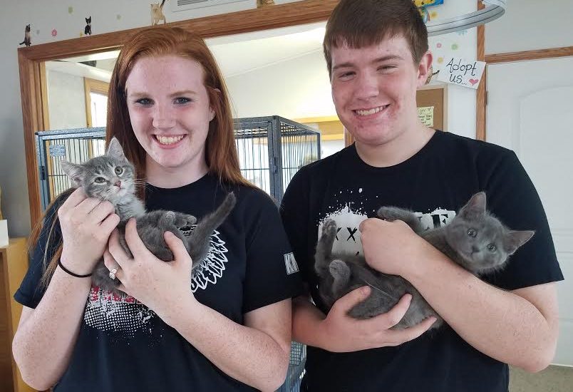 Two young people holding gray kittens in a kennel.