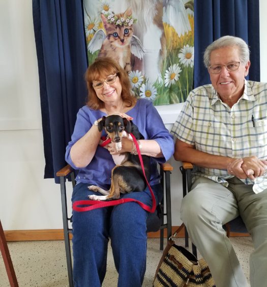 A man and woman sitting in chairs with a dog on a leash.