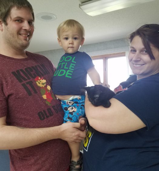 A man and a woman holding a kid and a cat