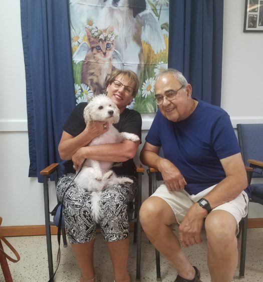 A man and woman sitting in a chair with a white dog.