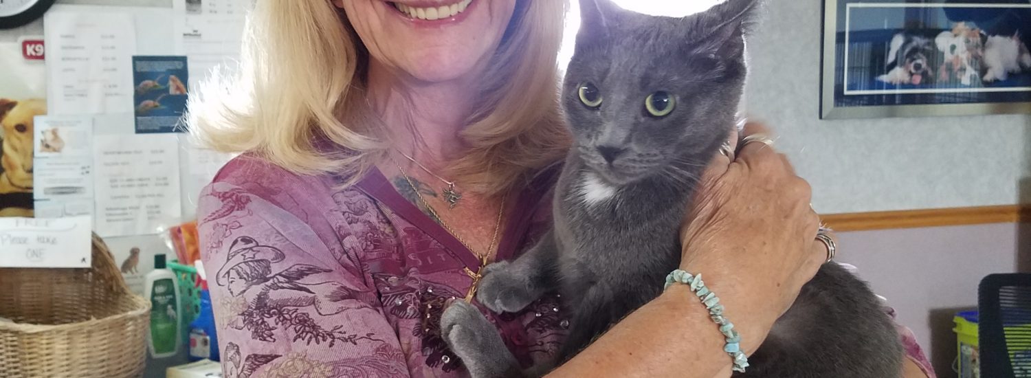 A woman holding a gray cat in an office.