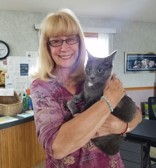 A woman holding a gray cat in an office.